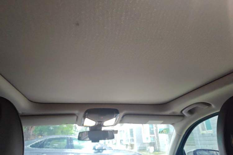 Used BMW 3 Series 2020 325Li First Edition Headliner