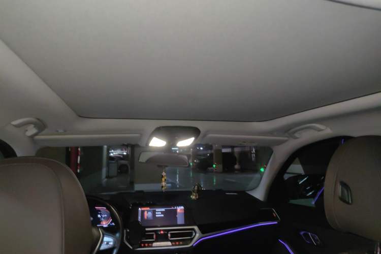 Used BMW 3 Series 2020 325Li First Edition Headliner