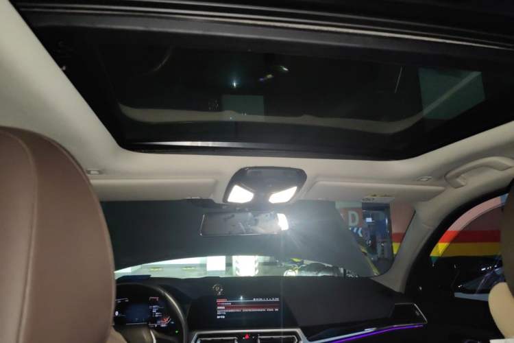 Used BMW 3 Series 2020 325Li First Edition Headliner