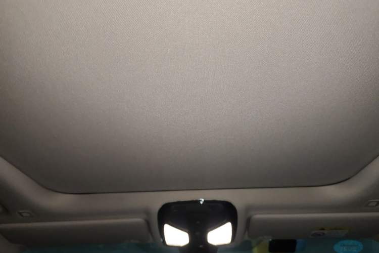 Used BMW 3 Series 2020 325Li First Edition Headliner
