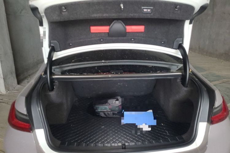 Used BMW 3 Series 2020 325Li First Edition Trunk