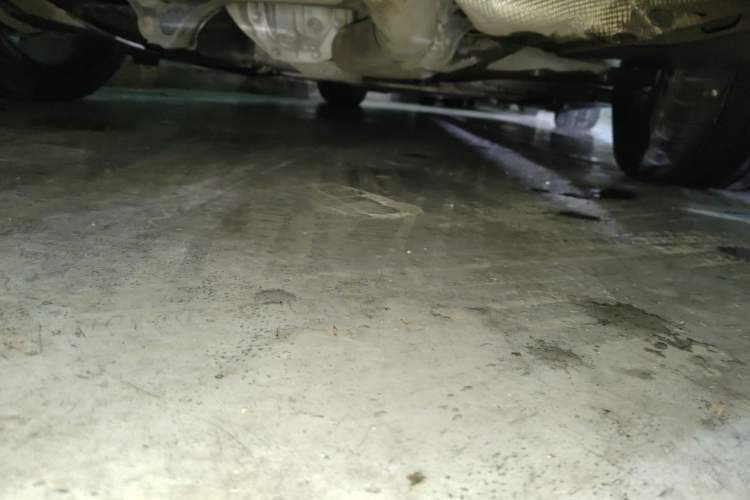 Used BMW 3 Series 2020 325i M Sport Night Edition package Chassis Rear