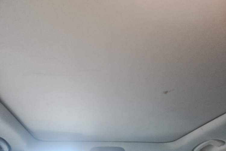 Used BMW 3 Series 2020 325Li First Edition Headliner