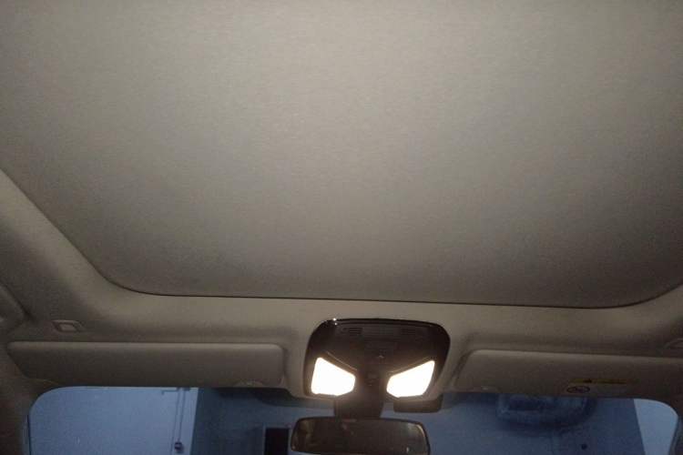 Used BMW 3 Series 2020 325Li First Edition Headliner