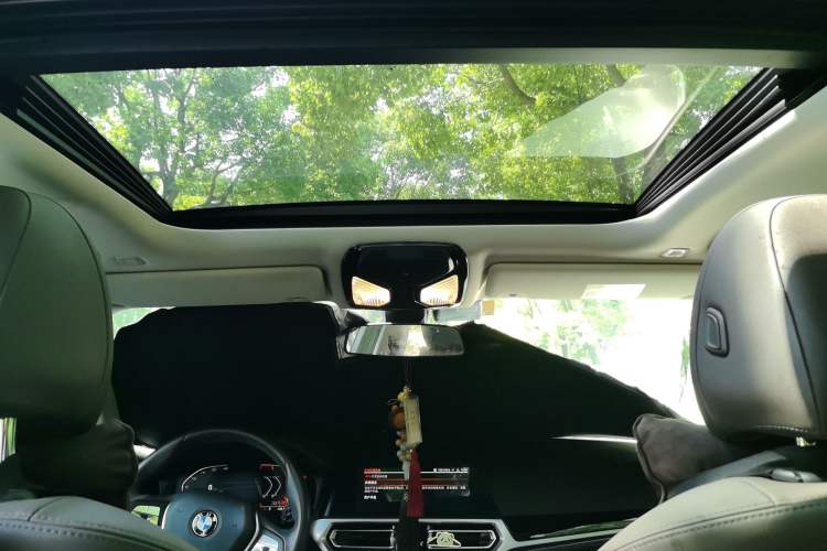 Used BMW 3 Series 2020 325Li First Edition Headliner