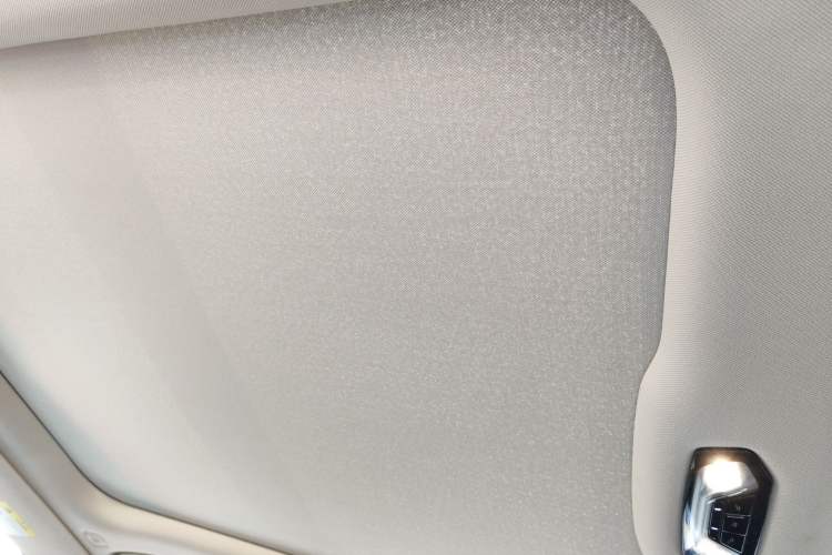 Used BMW 3 Series 2020 325Li M Sport Package Headliner