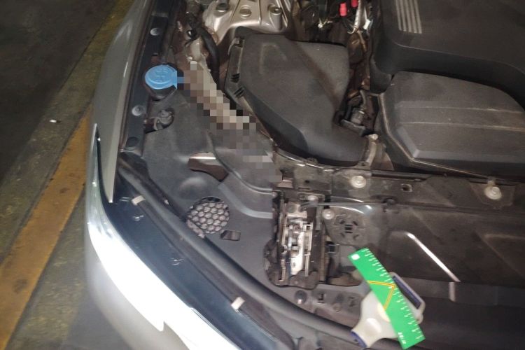 Used BMW 3 Series 2020 325Li First Edition Engine Bay Right