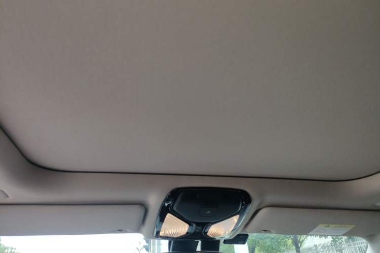 Used BMW 3 Series 2020 325Li First Edition Headliner