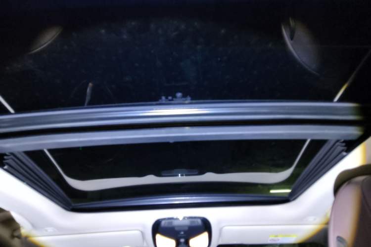 Used BMW 3 Series 2020 325Li First Edition Headliner