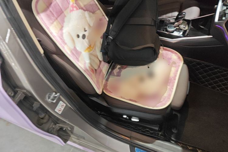 Used BMW 3 Series 2020 325Li First Edition Right Front Seat