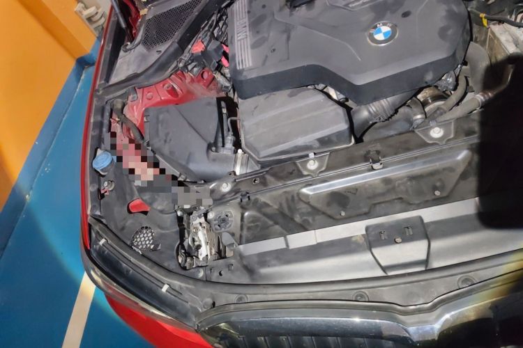 Used BMW 3 Series 2020 325Li First Edition Engine Bay Right