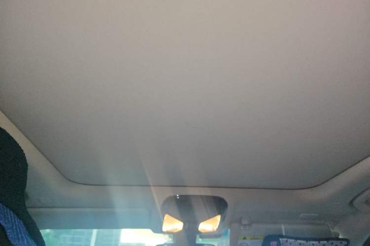 Used BMW 3 Series 2020 320Li M Sport Package Headliner