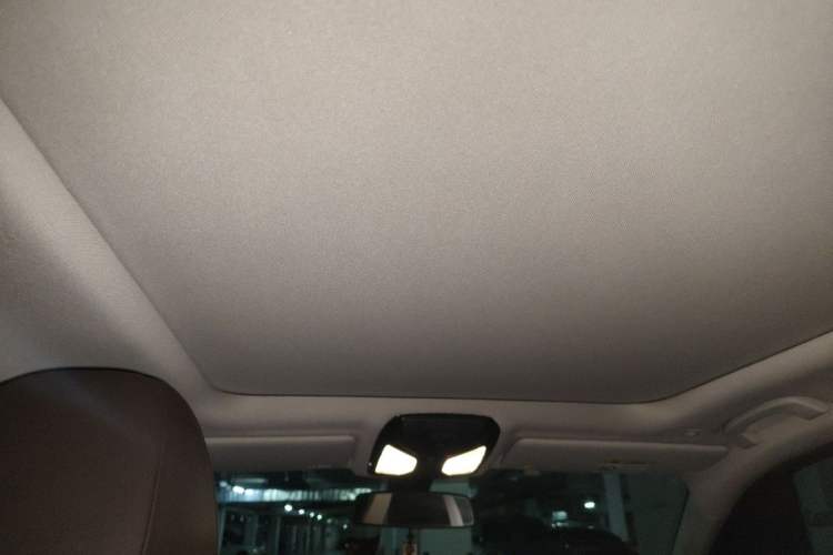 Used BMW 3 Series 2020 320Li M Sport Package Headliner