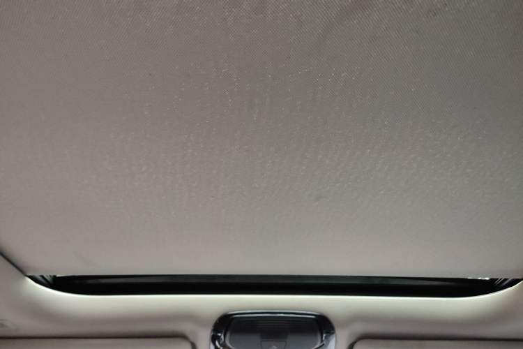 Used BMW 3 Series 2020 325Li First Edition Headliner