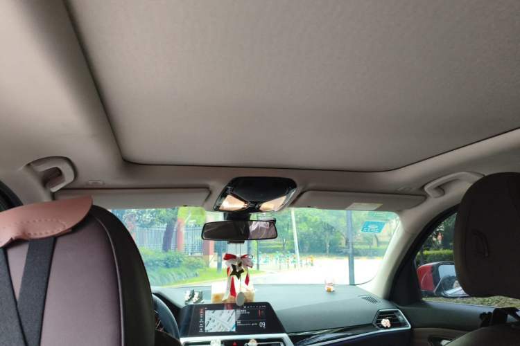 Used BMW 3 Series 2020 325Li First Edition Headliner
