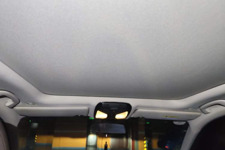 Used BMW 3 Series 2020 325Li First Edition Headliner