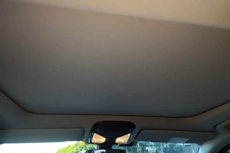 Used BMW 3 Series 2020 320i Sport Package Headliner