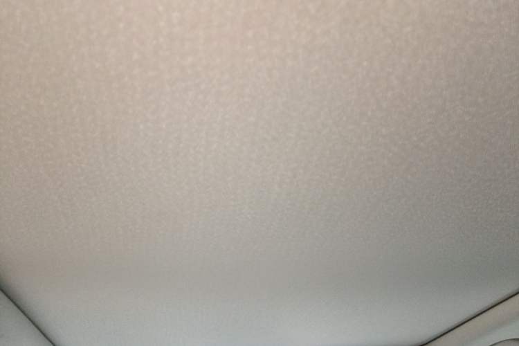Used BMW 3 Series 2020 320Li M Sport Package Headliner