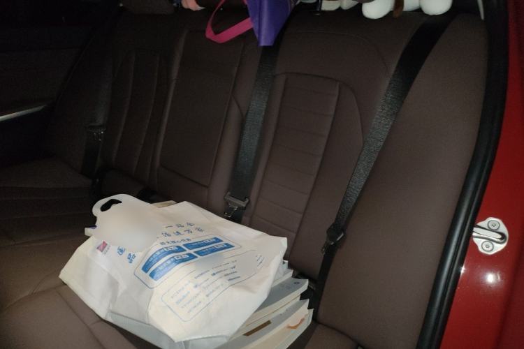 Used BMW 3 Series 2020 320Li M Sport Package Left Rear Seat