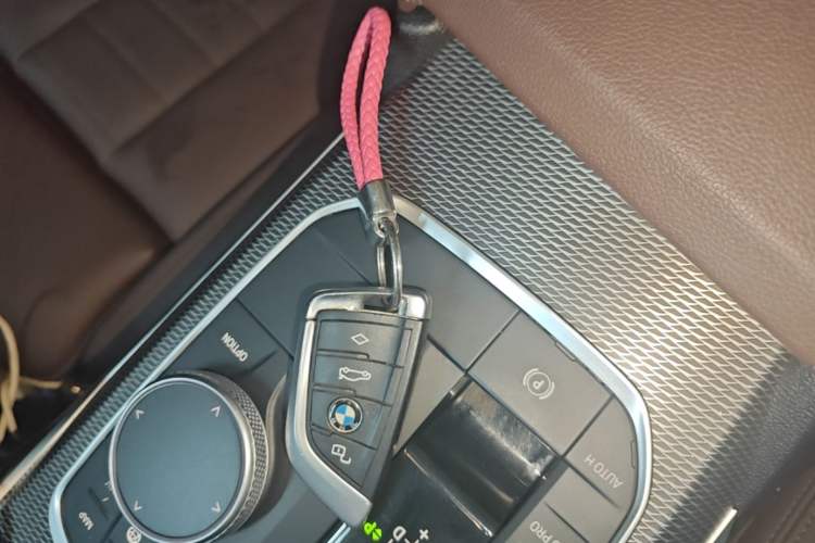 Used BMW 3 Series 2020 Facelifted 325Li M Sport Night Edition Package Vehicle Key