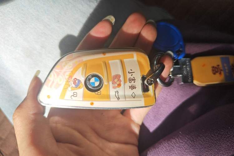 Used BMW 3 Series 2020 325Li M Sport Package Vehicle Key