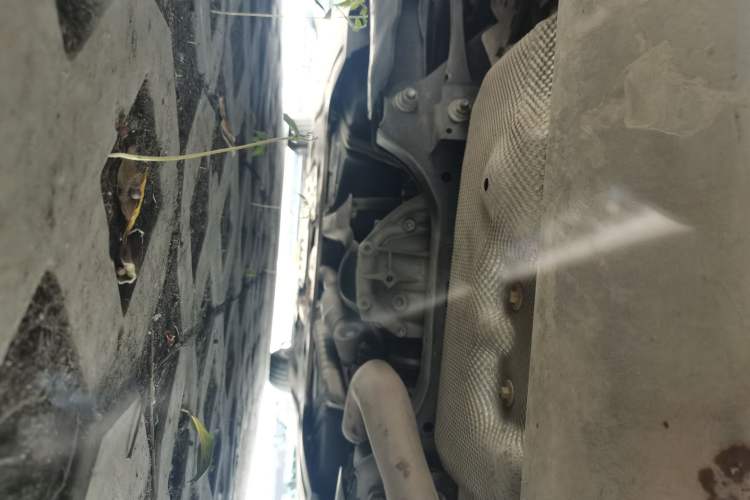 Used BMW 3 Series 2020 325Li M Sport Package Chassis Rear