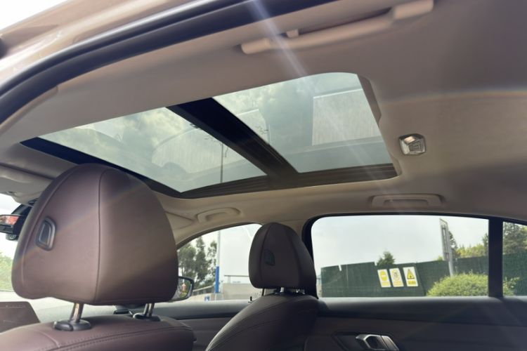 Used BMW 3 Series 2020 325Li First Edition Headliner