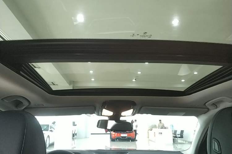 Used BMW 3 Series 2020 325Li First Edition Headliner