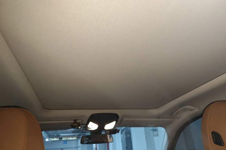 Used BMW 3 Series 2020 325Li First Edition Headliner