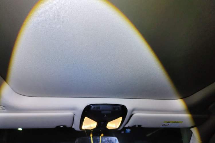 Used BMW 3 Series 2020 325Li First Edition Headliner