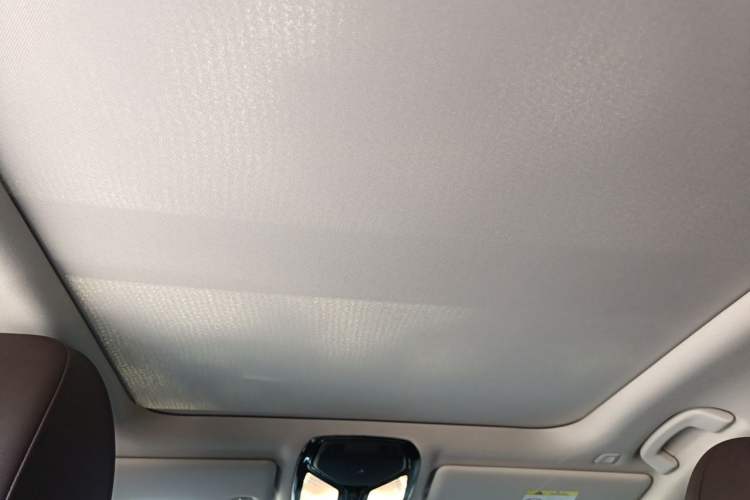 Used BMW 3 Series 2020 320Li M Sport Package Headliner