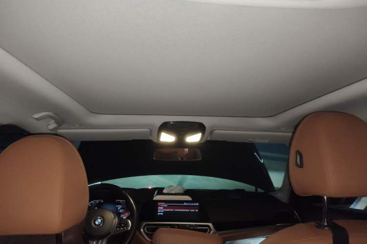 Used BMW 3 Series 2020 320Li M Sport Package Headliner