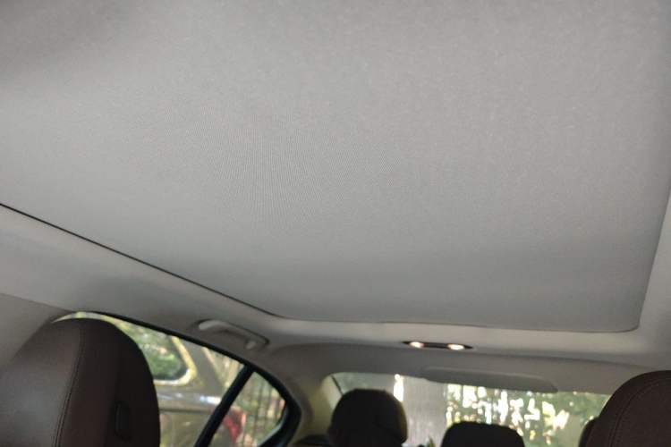 Used BMW 3 Series 2020 325Li First Edition Headliner
