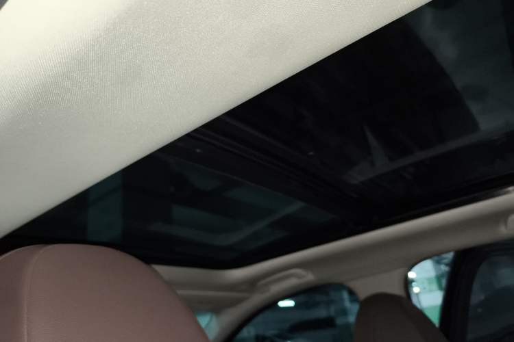 Used BMW 3 Series 2020 Facelifted 325Li M Sport Night Edition Package Headliner