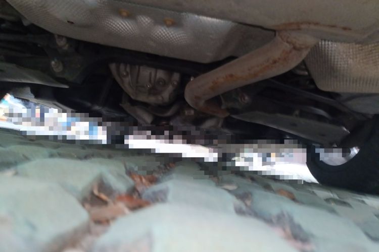 Used BMW 3 Series 2020 325Li M Sport Package Chassis Rear