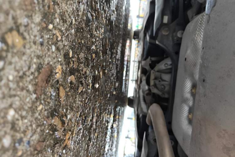 Used BMW 3 Series 2020 325Li M Sport Package Chassis Rear