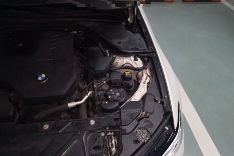 Used BMW 3 Series 2020 325Li M Sport Package Engine Bay Left