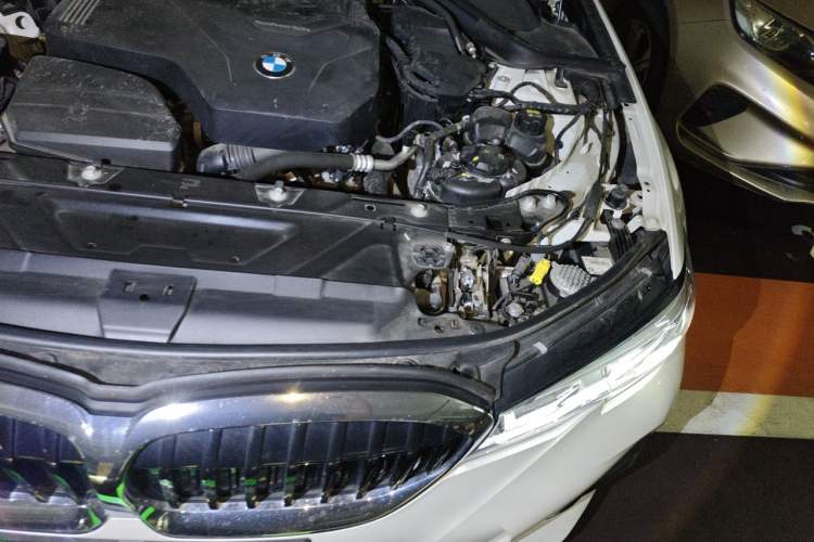 Used BMW 3 Series 2020 320Li M Sport Package Engine Bay Left