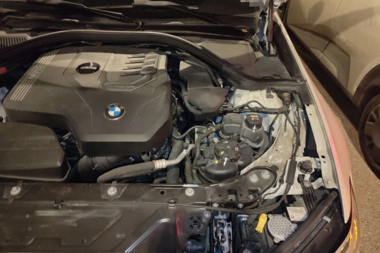 Used BMW 3 Series 2020 320Li M Sport Package Engine Bay Left