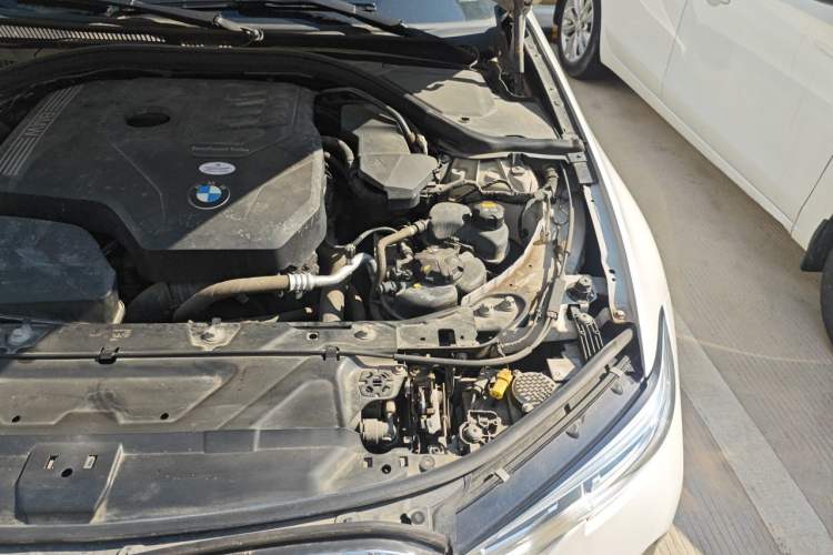 Used BMW 3 Series 2020 320Li M Sport Package Engine Bay Left