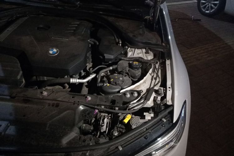 Used BMW 3 Series 2020 320Li M Sport Package Engine Bay Left