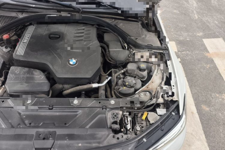 Used BMW 3 Series 2020 320Li M Sport Package Engine Bay Left