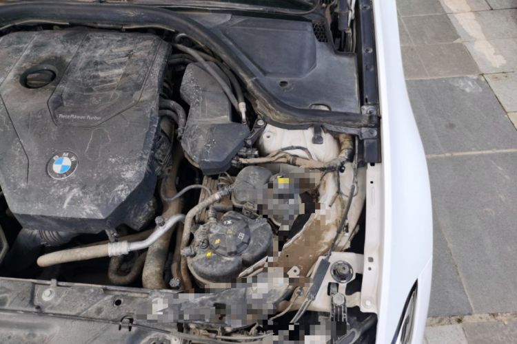 Used BMW 3 Series 2020 320Li M Sport Package Engine Bay Left