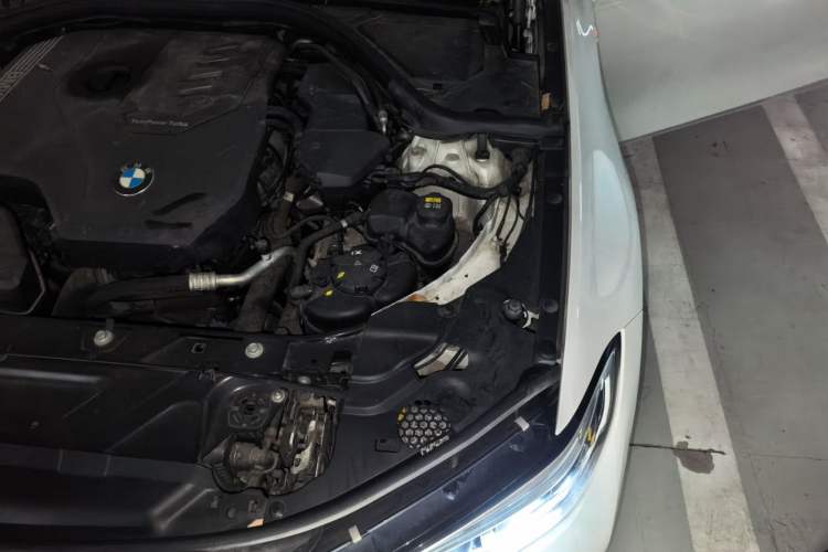 Used BMW 3 Series 2020 325Li M Sport Package Engine Bay Left