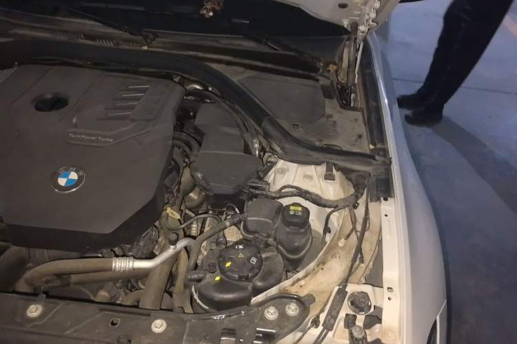 Used BMW 3 Series 2020 320Li M Sport Package Engine Bay Left
