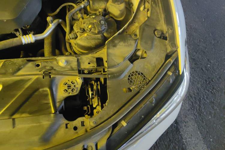 Used BMW 3 Series 2020 325Li M Sport Night Edition Package Engine Bay Left