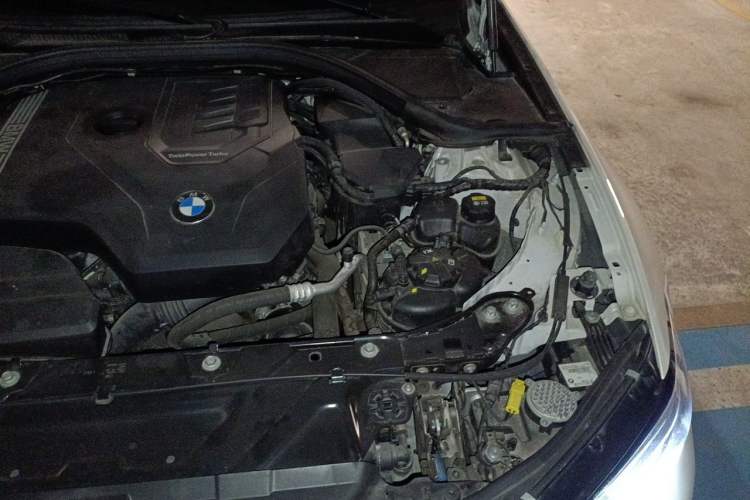 Used BMW 3 Series 2020 320Li M Sport Package Engine Bay Left