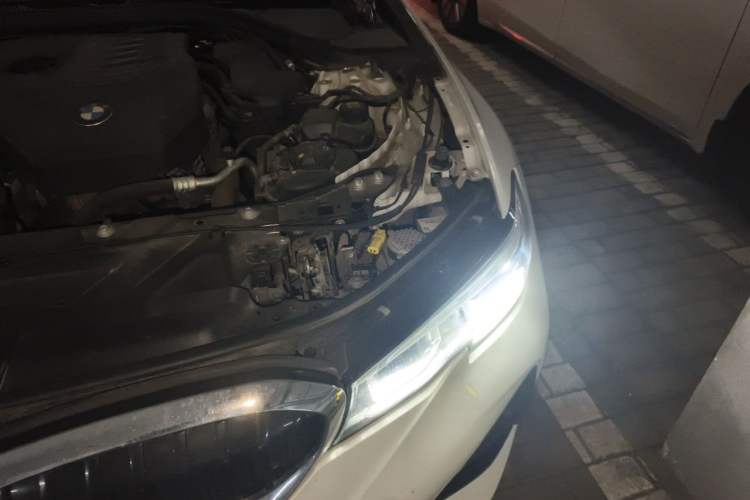 Used BMW 3 Series 2020 320Li M Sport Package Engine Bay Left