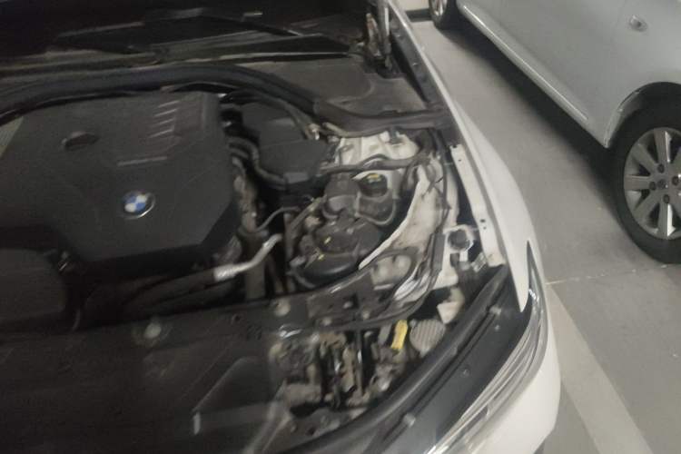 Used BMW 3 Series 2020 320Li M Sport Package Engine Bay Left