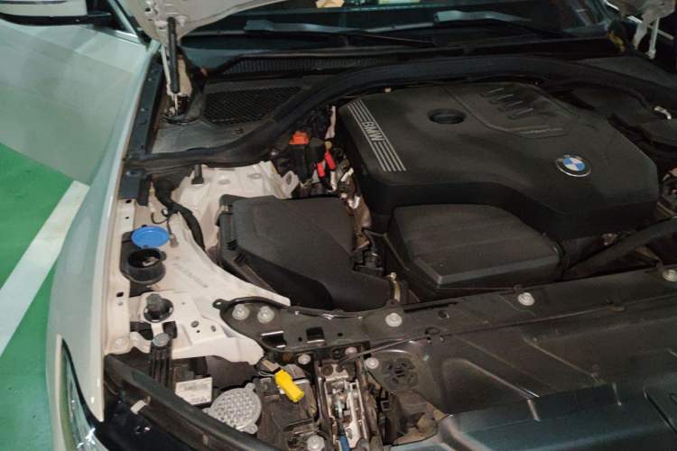 Used BMW 3 Series 2020 320Li M Sport Package Engine Bay Right